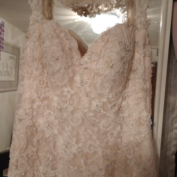 Maggie Sottero Collins wedding dress - Picture 11 of 13